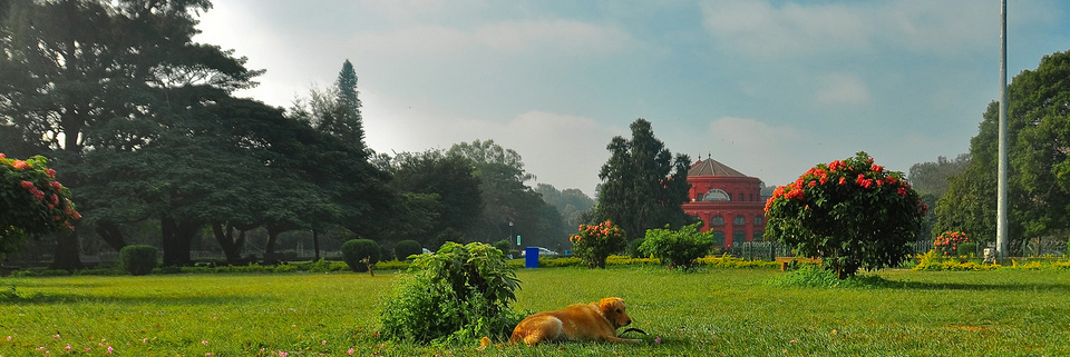 centrallibrary