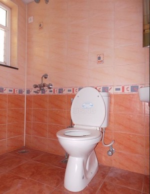 pic5
