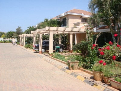 pic2